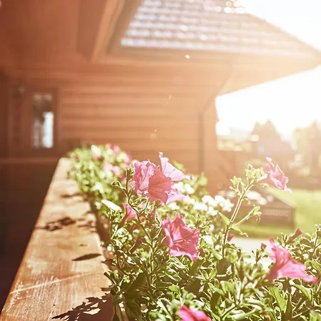 Patrik Guest house